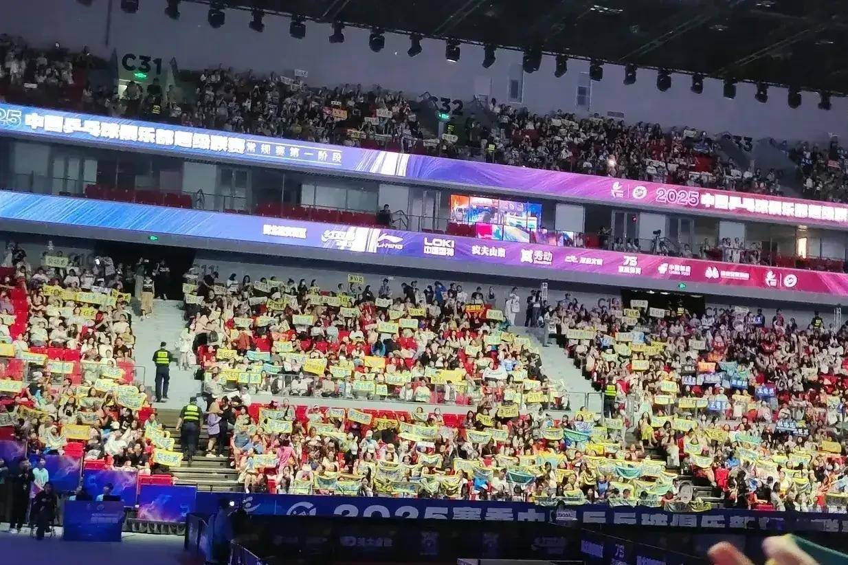 樊振东德国杯首战，4个常见亮眼应援物再现