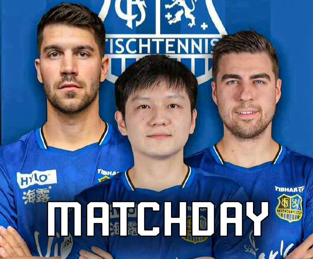 樊振东德国杯首战，4个常见亮眼应援物再现