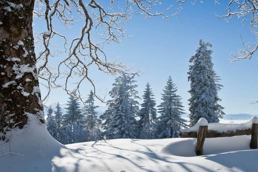 中国电竞战队EDG夺得全球縂(zǒng)决赛冠军